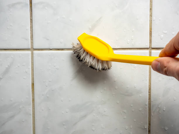 Best Best Mold Removal Companies  in Des C, AR